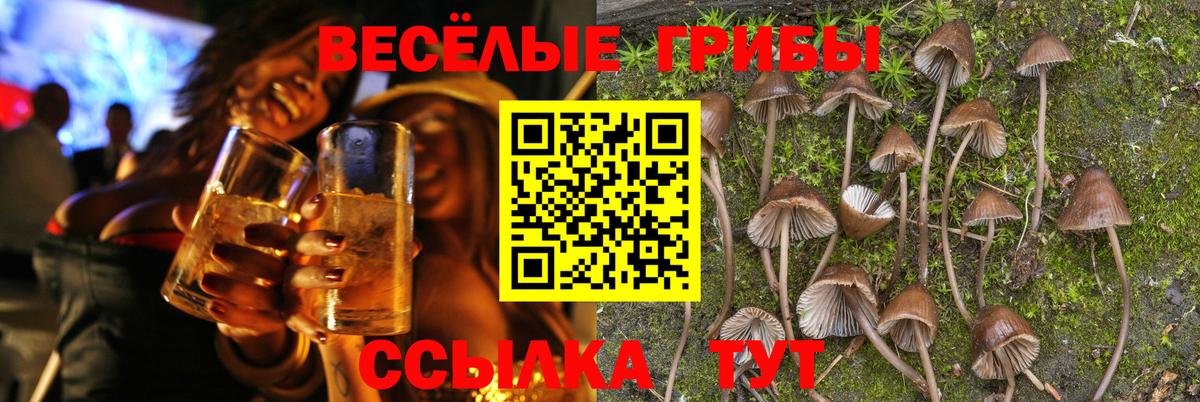 Галлюциногенные грибы Psilocybe  Вход с VPN  Губкинский  закладки  Псилоцибиновые грибы Cubensis 
